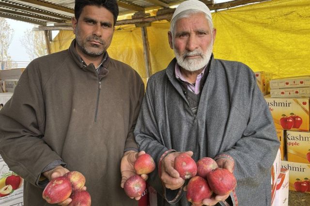 Kashmiri apple